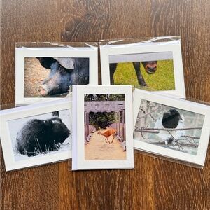 Animal Photography Blank Greeting Cards Set (5).